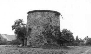 Neugersdorf bei Zittau (Wyszkow/Polen). Holländermühle, Ruine