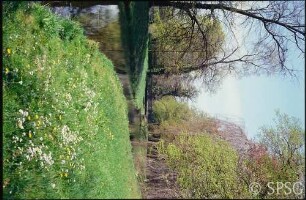 Potsdam, Park Sanssouci, Frühblüher.
