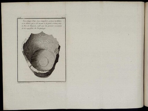 Pl. XXII. Vase antique d'une terre rougeâtre vernissé [...]