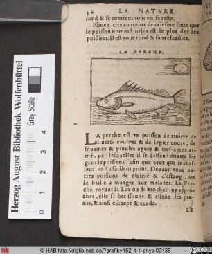 La Perche.