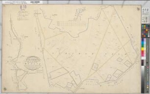 Marbeck (Borken), Gemeinheit Wirthe, Wirther Feld, Lage, Tushaus Heide, Bodarbsche Heide, Teilung der Butenwirther Mark, Bl.4 Brouillonkarte Flur III Bodarp