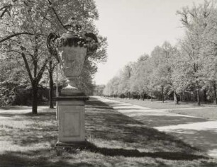 Dresden-Altstadt. Großer Garten (1683, J. F. Karcher; 1873-1895, K. F. Bouché). Querallee. Eingang Stübelallee mit nordöstlicher Henkelvase (um 1750)