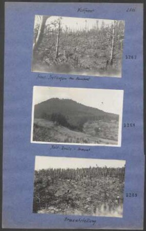 Bois-Brule-Ormont