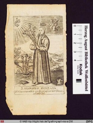 Der Heilige Aloysius von Gonzaga