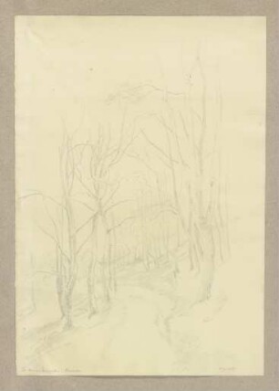 Waldweg im kleinen Tiergarten Braunfels