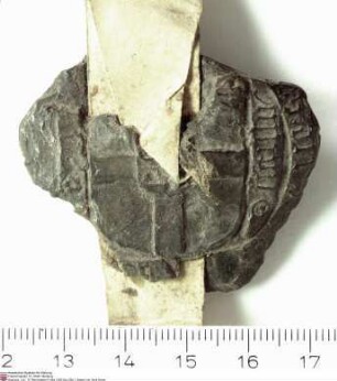 Hermann [IV. von Hessen], Erzbischof von Köln, des Heiligen Römischen Reichs Erzkanzler für Italien und Kurfürst, Herzog von Westfalen und von Eng...