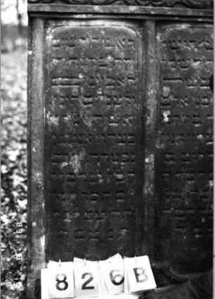 Grabstein 826 (Index: 99751466) Material: Sandstein Zustand: verwittert Maße HxBxT: 142x80x12 cm Beschreibung: Doppelstele, zwei rechteckige Schriftfelder eingetieft Symbolik: Ranken: Grabstein 826B