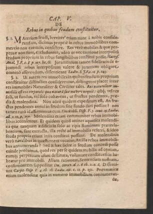 Cap. V. De Rebus in quibus feudum constituitur.