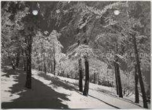 Winterlandschaft, Taunus