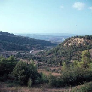 Landschaft Elis. Blick von Krestena gegen die Alfeiós-Aue