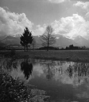 Gewässer vor Bergkulisse, wahrscheinlich im Allgäu