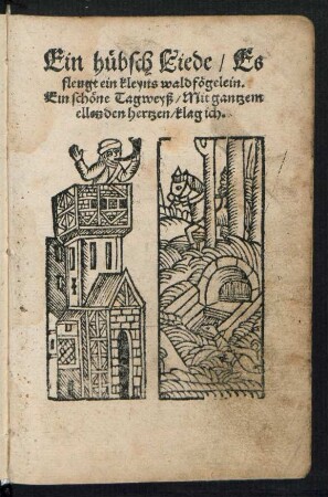 Ein huebsch Liede/ Es || fleugt ein kleyns waldfœgelein.|| Ein schœne Tagweyß/ Mit gantzem || ellenden hertzen/ klag ich.||