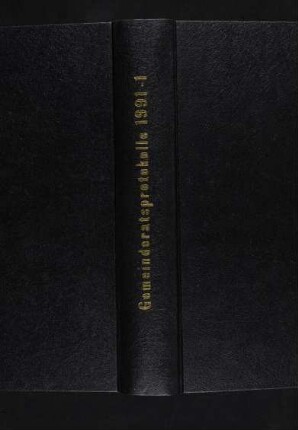 Gemeinderatsprotokolle (14. Legislaturperiode, 22. Januar 1991 -
                           19. Februar 1991)