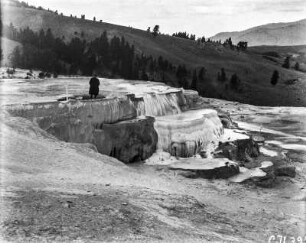 Mammoth Hot Springs : Die Minerva-Quelle bei Mammoth Hot Springs.