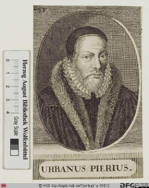 Bildnis Urban Birnbaum (lat. Urbanus Pierius)