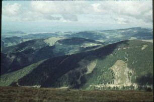 Blick zum Feldberg