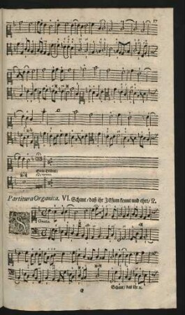 Partitura Organica. VI. Schaut, daß ihr Jesum kennt und ehrt, [et]c.
