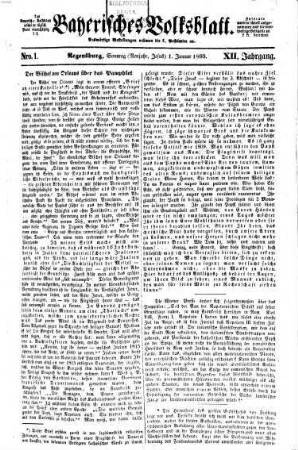 Bayerisches Volksblatt. 1860 = Jg. 12