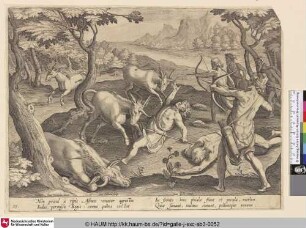 [Einhornjagd; Unicorn hunt]
