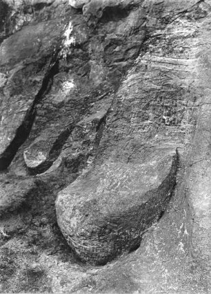 Nördliches Harzvorland. Der Königstein bei Westerhausen (Thale-Westerhausen). Felsbildungen