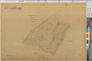 Hopsten (Hopsten), Flurbereinigung Hopsten, Schätzungskarte Planblatt 1,1