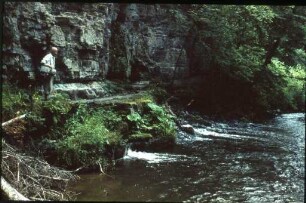 Wutachschlucht im Schwarzwald