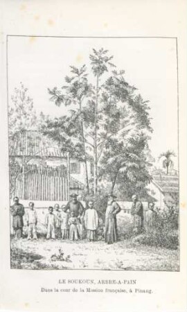 Le Soukoun, arbre-a-pain