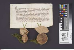 Bensheimer Hof: Concensus Henrici Abbatis, Decani totiusque Capituli ecclesiae fuldensis quod Wolframus de Bykkenbach, Pastor ecclesiae Parochiali...