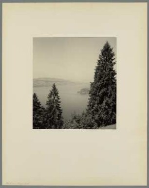 Blick vom Bürgenstock : Blick vom Bürgenberg auf den Vierwaldstätter See