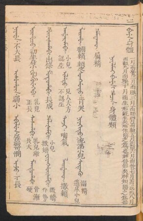 Niyalmai beyen i hacin = 身體類