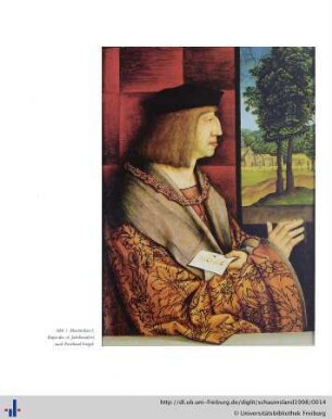 Kaiser Maximilian I. Ein Lebensbild