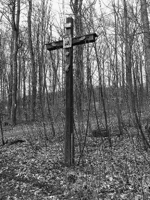 Kreuz auf der Kälberweide (Kreuz); Herbstein, Kälberweide