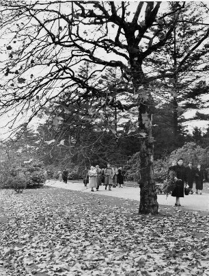 Hamburg-Ohlsdorf. Ansicht des Friedhofes Ohlsdorf. Er ist mit 389 Hektar der größte Parkfriedhof der Welt