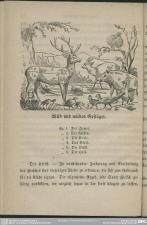 Wild und wildes Geflügel