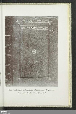 IV. Italienisch, sechszehntes Jahrhundert, Ziegenleder