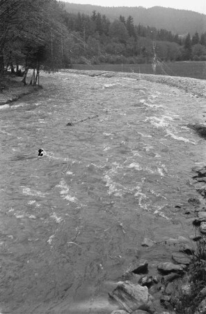 Kurzholzflößen : Holzflößung auf dem Weißen Regen