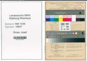Entnazifizierung Josef Gross , geb. 08.10.1906 (Schlosser)