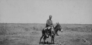 Eingeborener Eselreiter [Reise nach dem Sudan, Band 2]