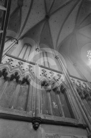 Wandgliederung und Gewölbe in der Schlosskapelle Ratibor