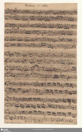 Violino Solo.