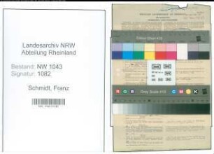 Entnazifizierung Franz Schmidt , geb. 28.04.1898 (Amtsarzt)