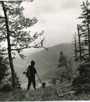 Ein Jäger im Schwarzwald