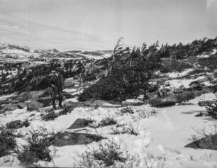 Hagerman Pass : Schneebedeckte Landschaft am Hagerman Pass. Im Hintergrund der Ivanhoe Lake, im Vordergrund möglicherweise Joseph Partsch