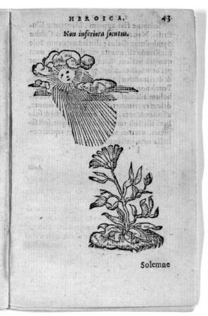 Non inferiora socutus.