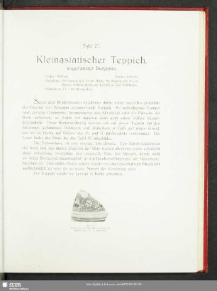 Tafel 27. Kleinasiatischer Teppich, sogenannter Bergama