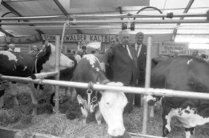 Freiburg im Breisgau: Badische Landwirtschaftsschau [mit Rolf Böhme]