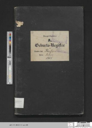 Geburtsregister Booßen 1901