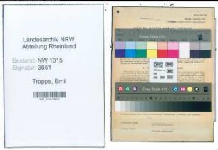 Entnazifizierung Emil Trappe , geb. 15.06.1900 (Angestellter)