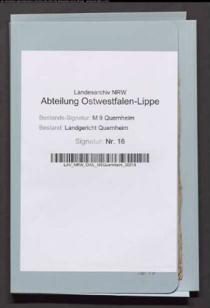 Erblasser: Peitzmeyer, Anne Margarethe Ilsabein, geb. Homburg: