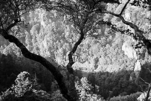 Blick vom Hirschsprung ins Höllental